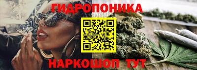 сатива Коммунар