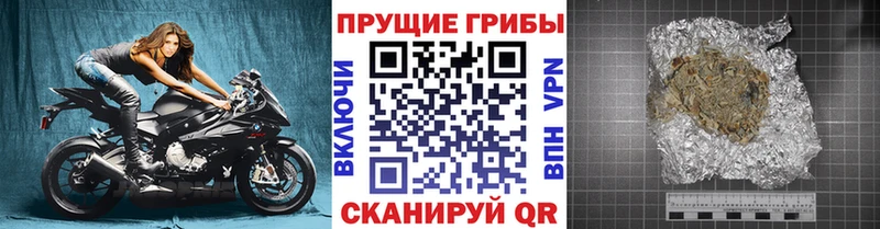 купить  цена  Крымск  Псилоцибиновые грибы Psilocybine cubensis 