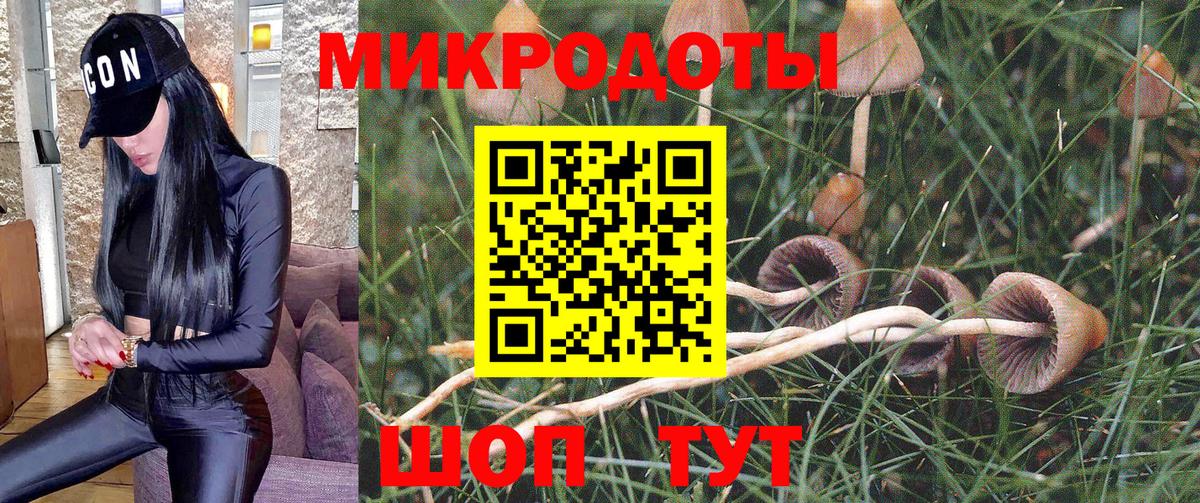 Крымск  Галлюциногенные грибы Psilocybine cubensis  Вход с VPN 