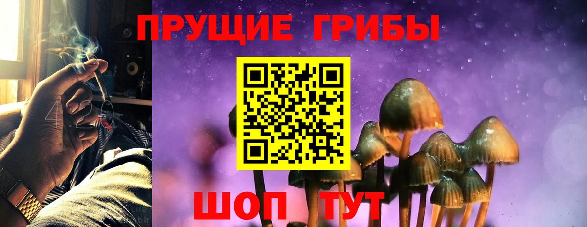 Псилоцибиновые грибы прущие грибы Крымск